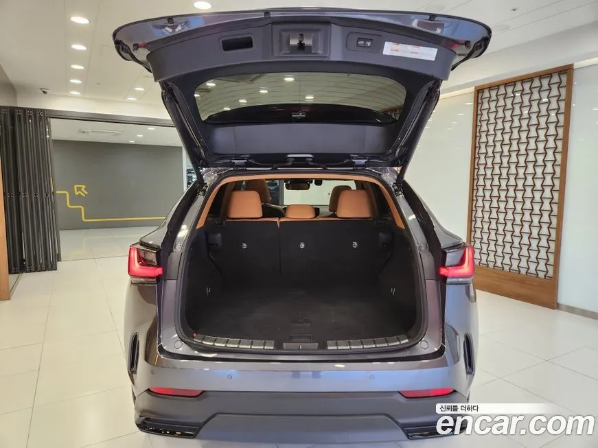 Lexus NX 2023 из KR, фото 8