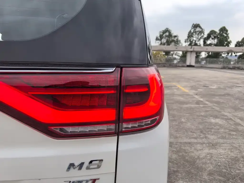 GAC Motor Trumpchi M8 2022 из CN, фото 8