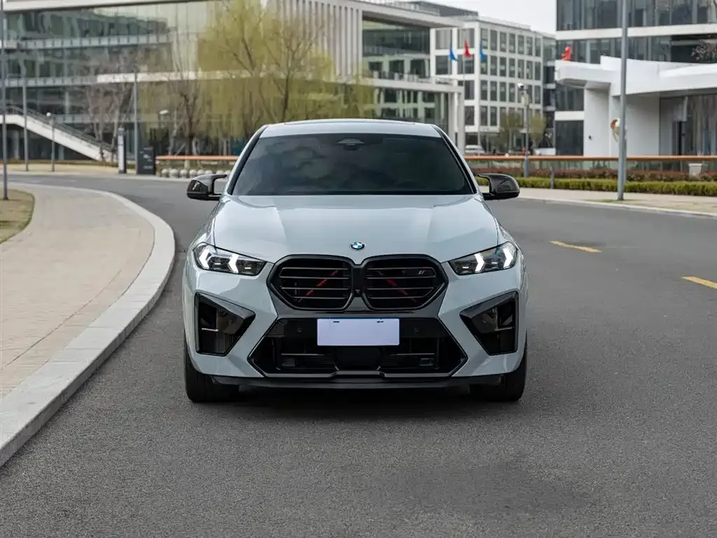 BMW X6 M 2023 из CN, фото 6