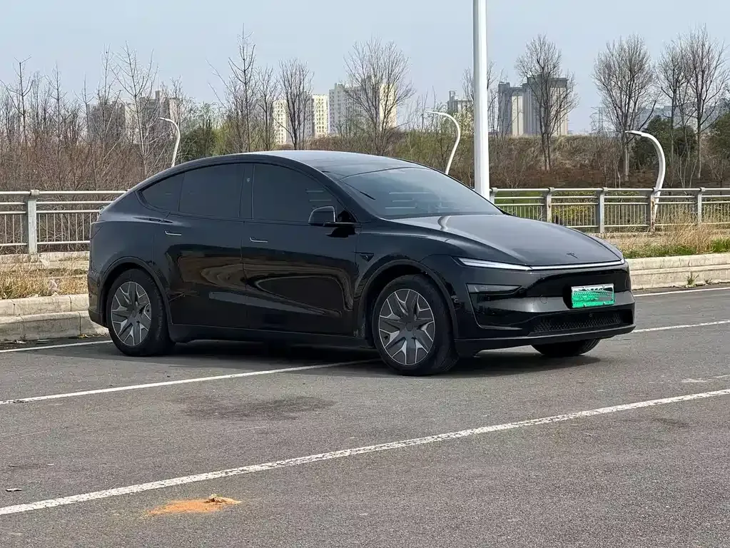 Tesla Model Y L 2025 из CN, фото 6