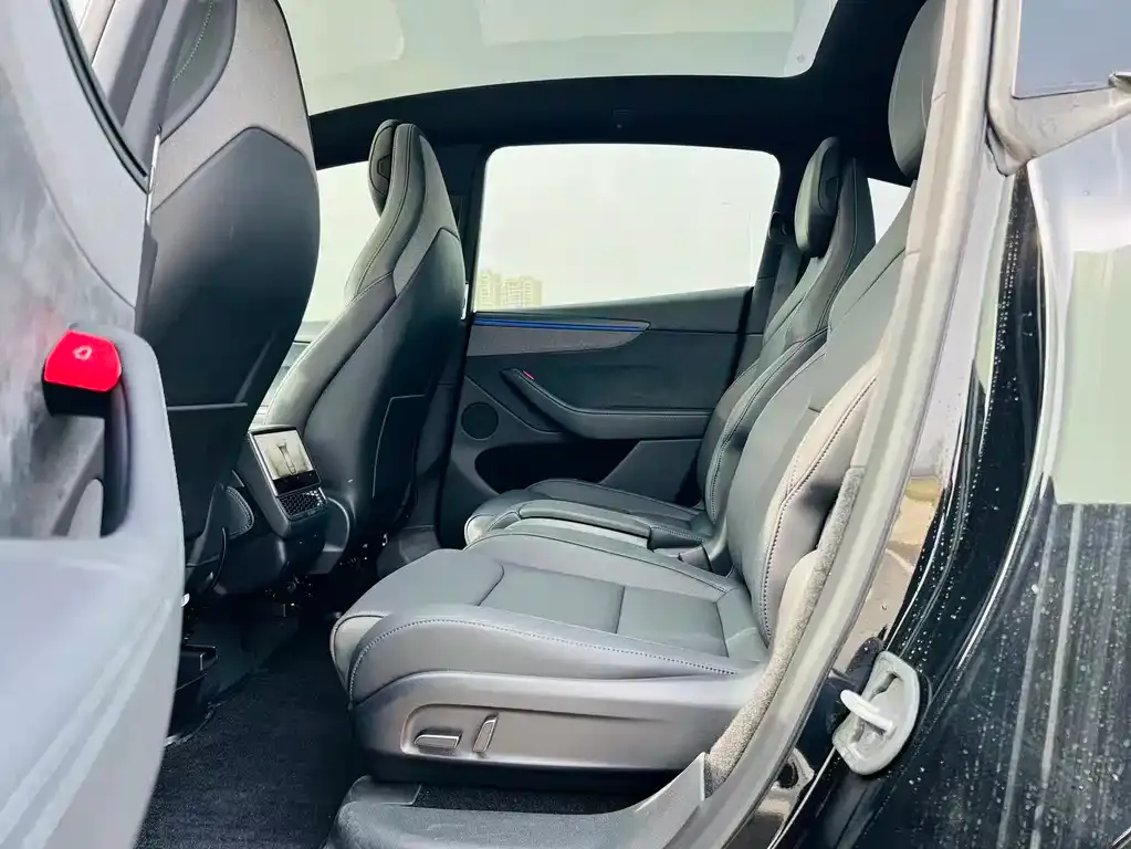 Tesla Model Y L 2025 из CN, фото 4