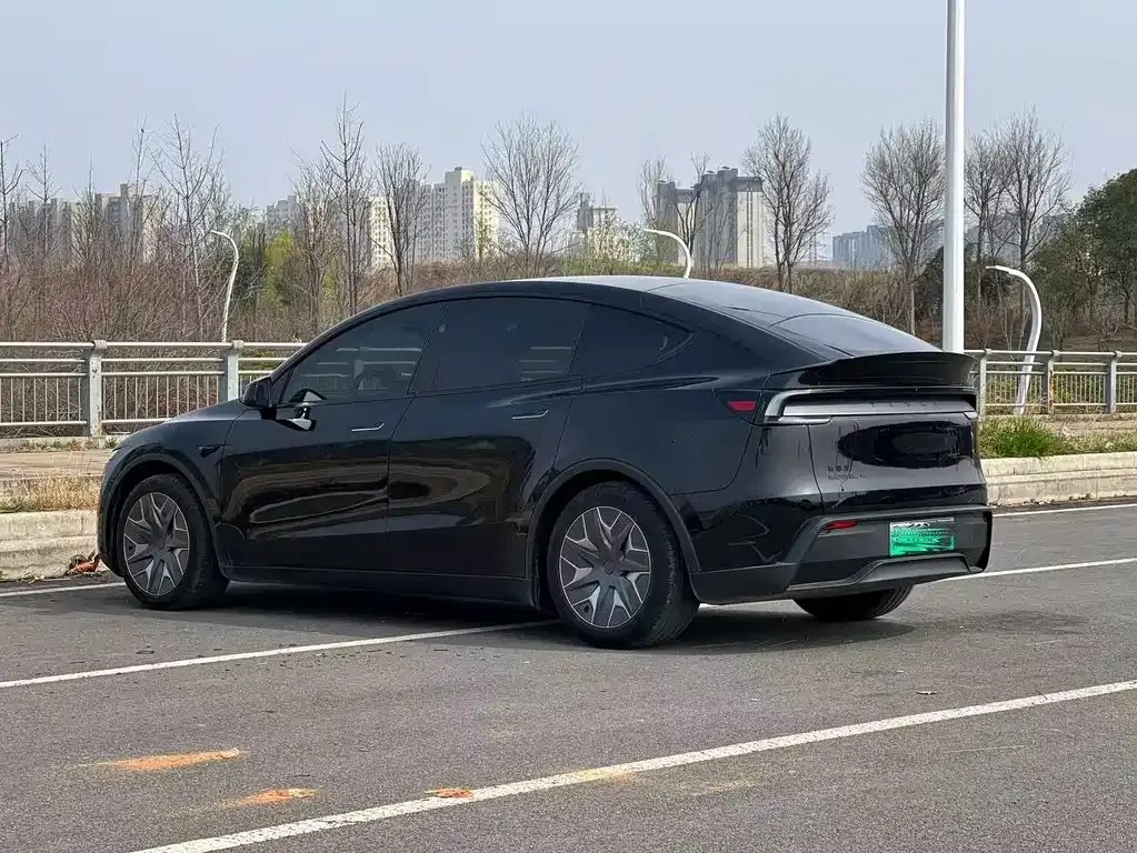 Tesla Model Y L 2025 из CN, фото 9