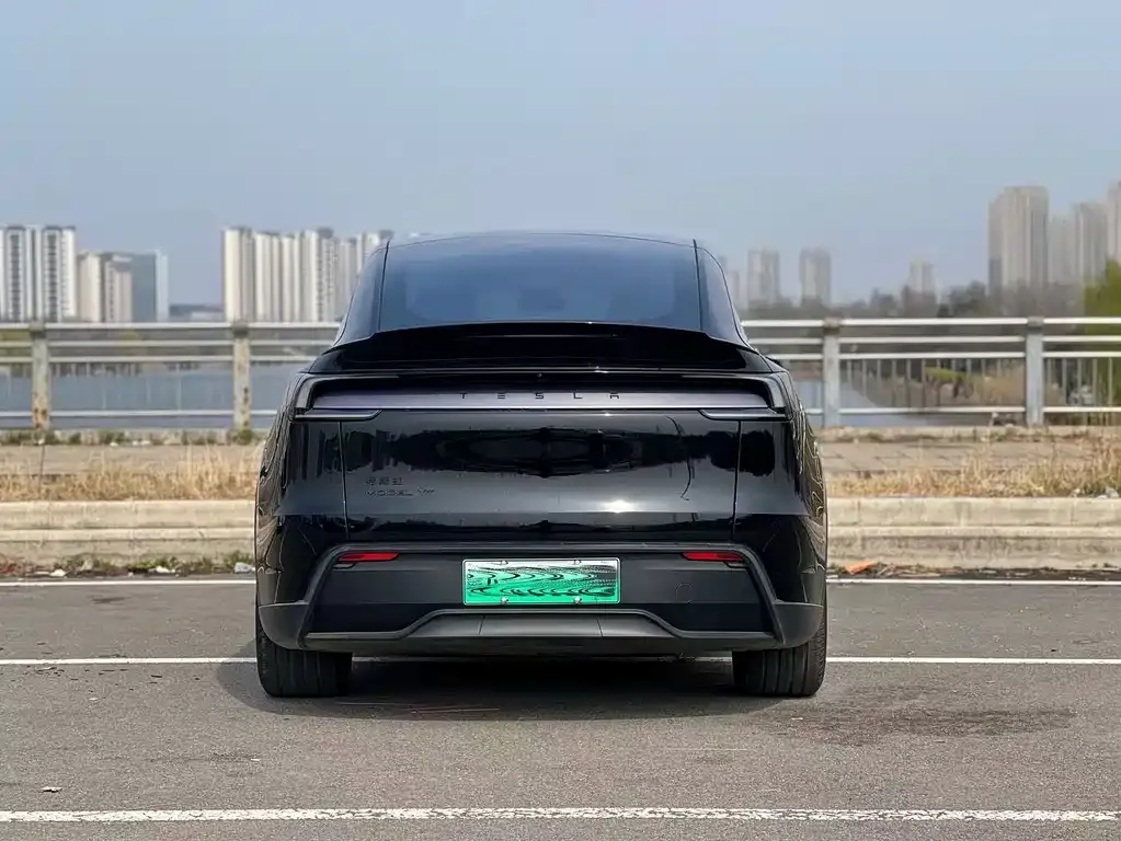 Tesla Model Y L 2025 из CN, фото 3
