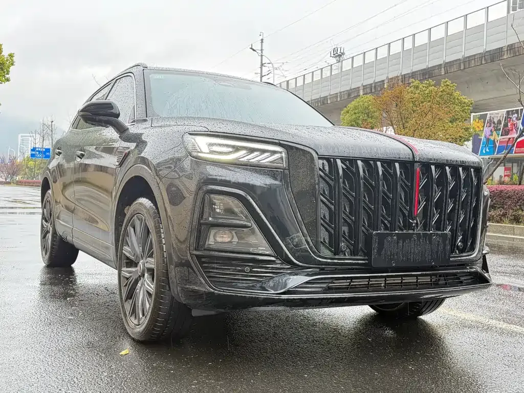 Hongqi HS5 2025 из CN, фото 6