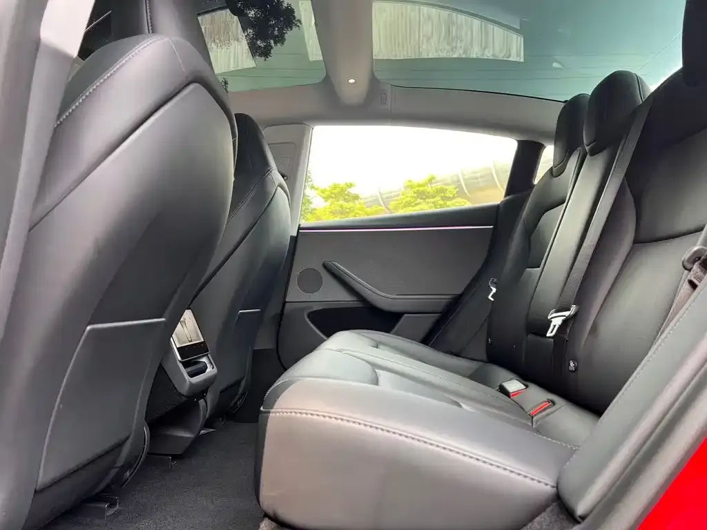 Tesla Model 3 2023 из CN, фото 2