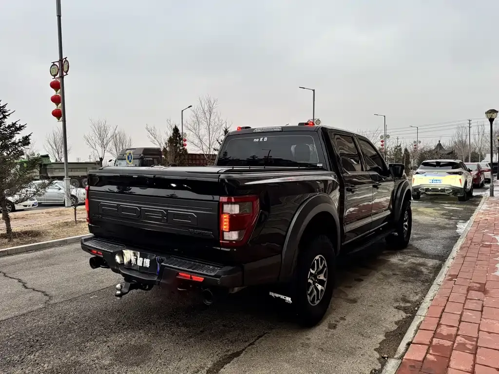 Ford F-150 Raptor — фото 4