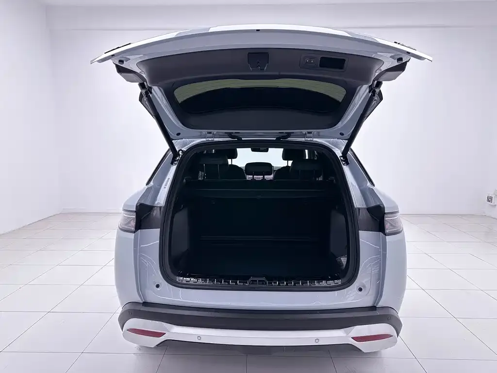 BYD L DM-i 2025 из CN, фото 2