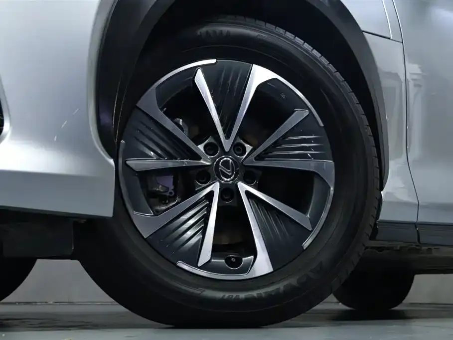 Lexus RZ 2023 из CN, фото 6