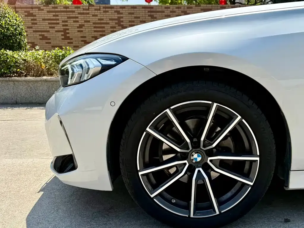 BMW 3 Series 2024 из CN, фото 3