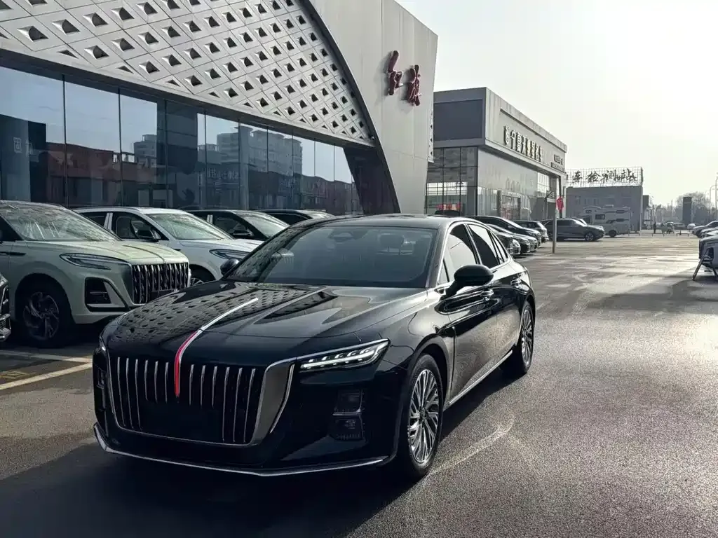 Hongqi H5 2023 из CN, фото 1