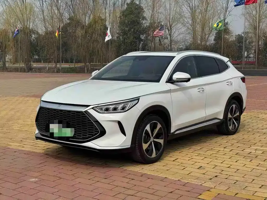BYD PLUS New Energy — фото 1