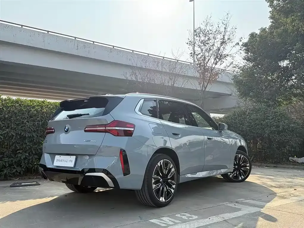 BMW X3 2025 из CN, фото 5