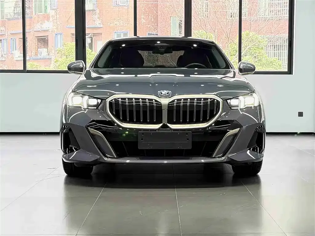 BMW 5 Series 2024 из CN, фото 6