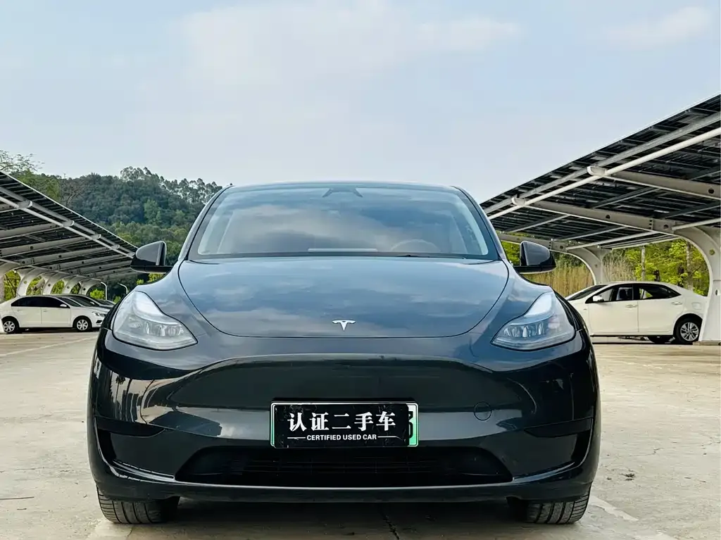 Tesla Model Y — фото 2