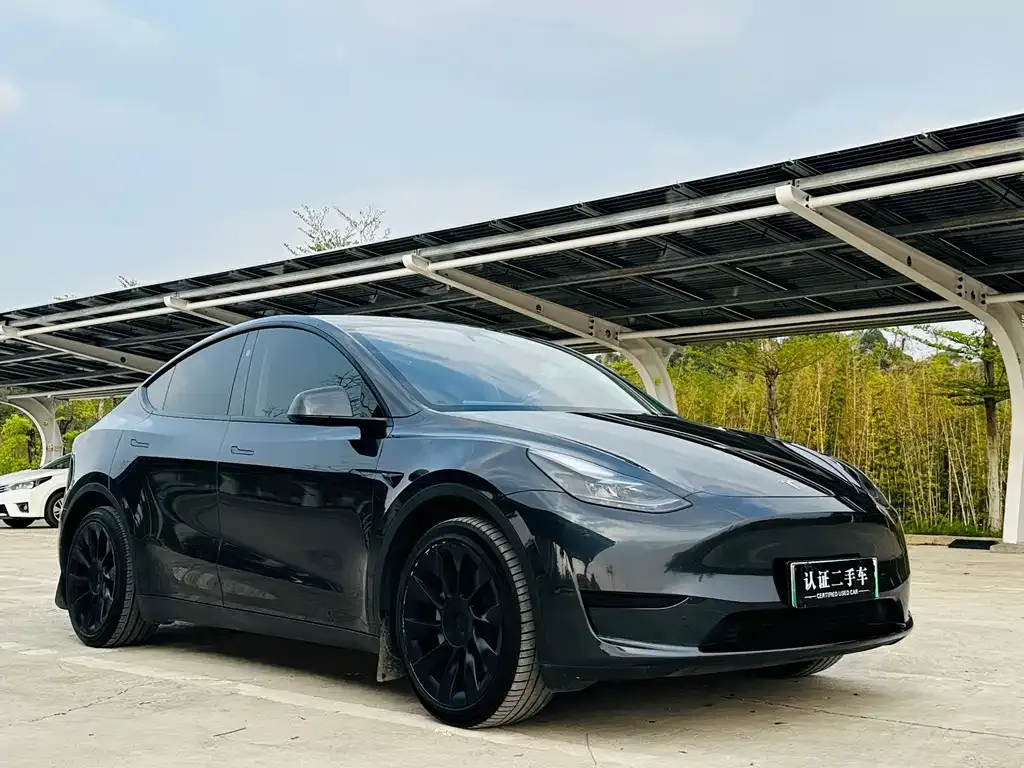 Tesla Model Y — фото 7