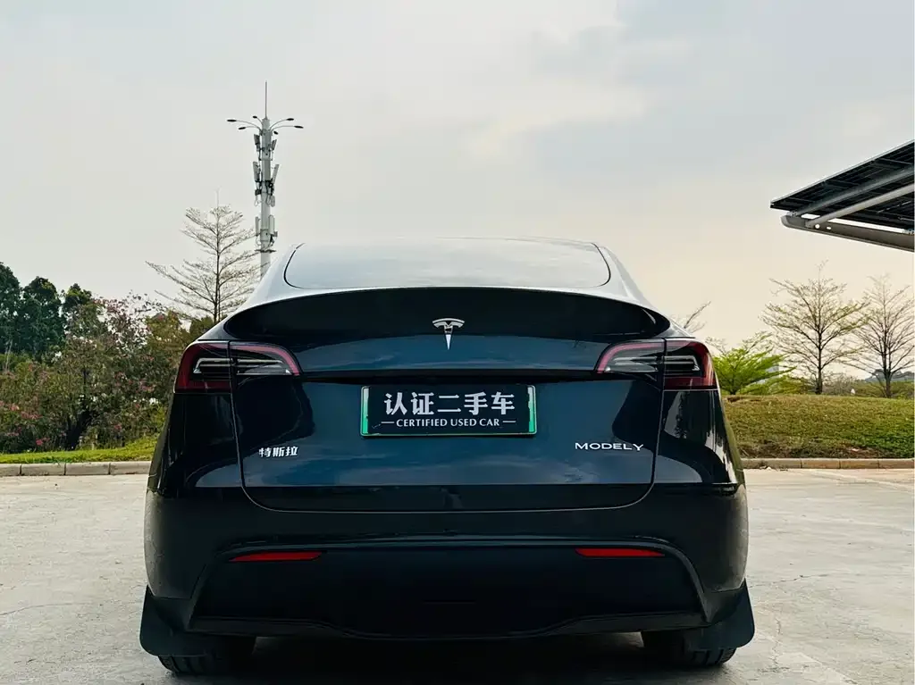 Tesla Model Y — фото 4