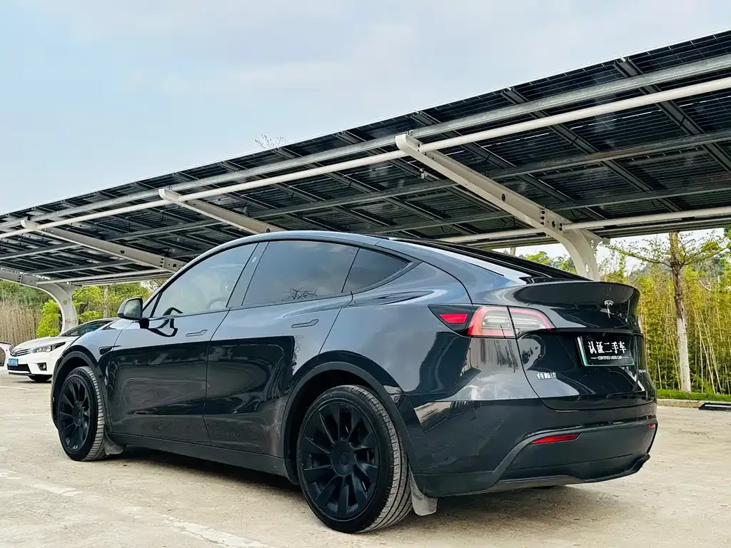Tesla Model Y — фото 10