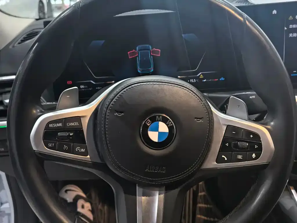 BMW 3 Series 2023 из CN, фото 8