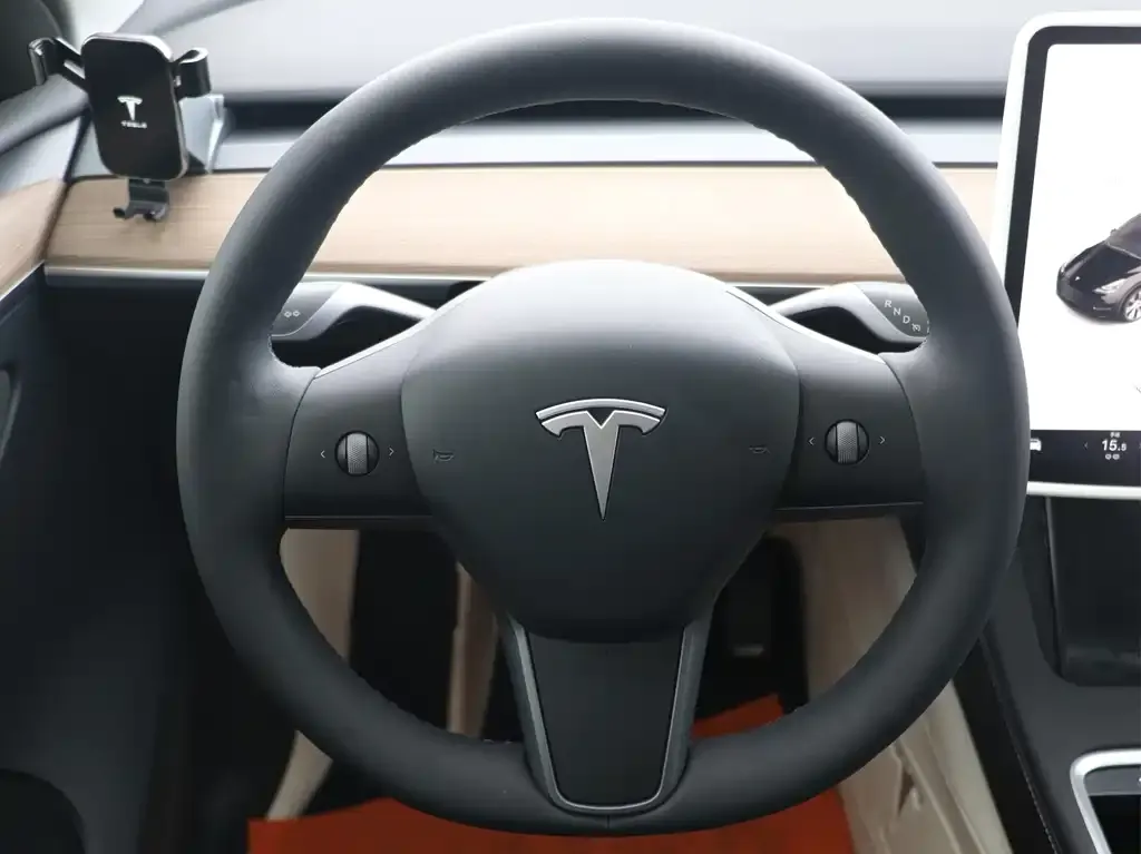 Tesla Model Y — фото 10