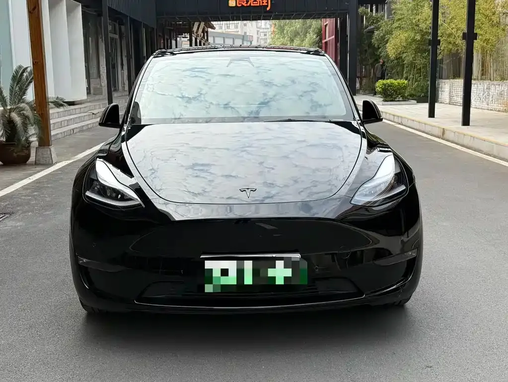 Tesla Model Y — фото 4