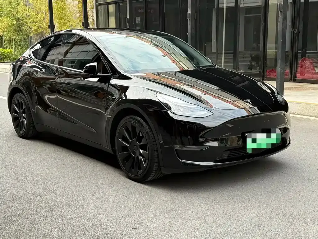 Tesla Model Y — фото 8