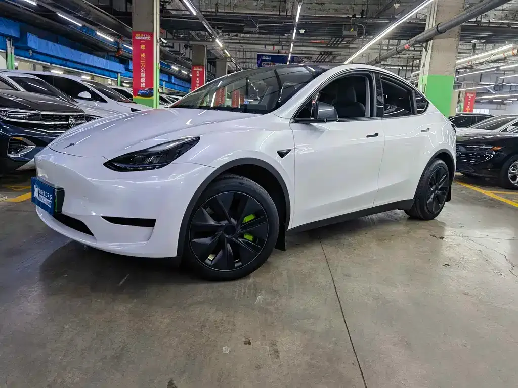 Tesla Model Y — фото 1