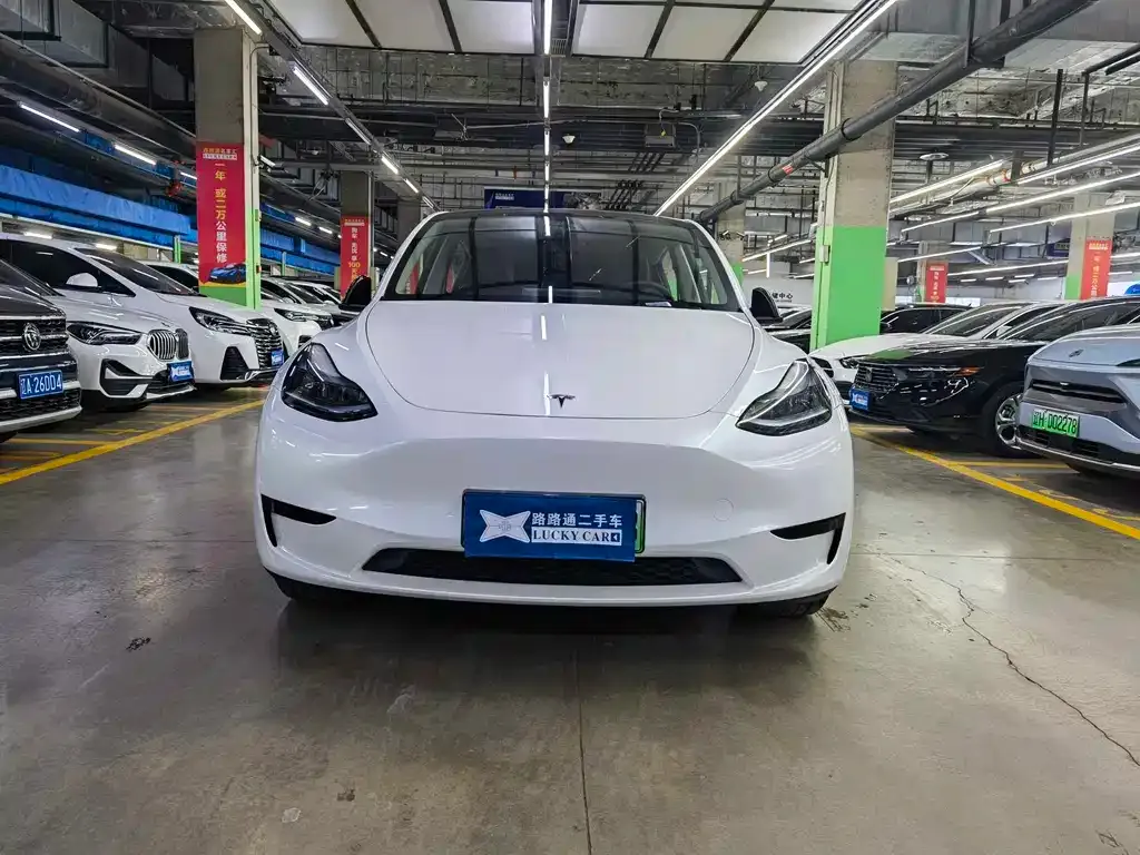 Tesla Model Y — фото 2