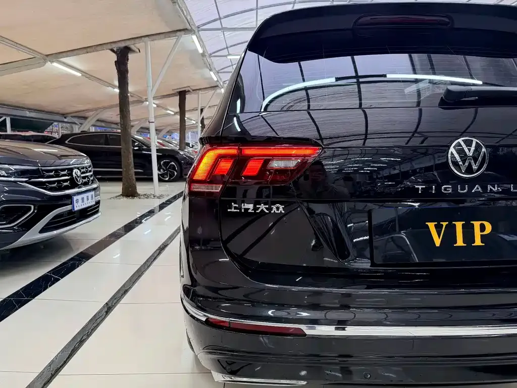 Volkswagen Tiguan L 2021 из CN, фото 3