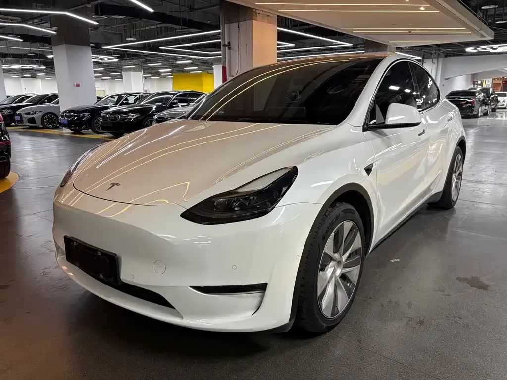 Tesla Model Y 2021 из CN, фото 1