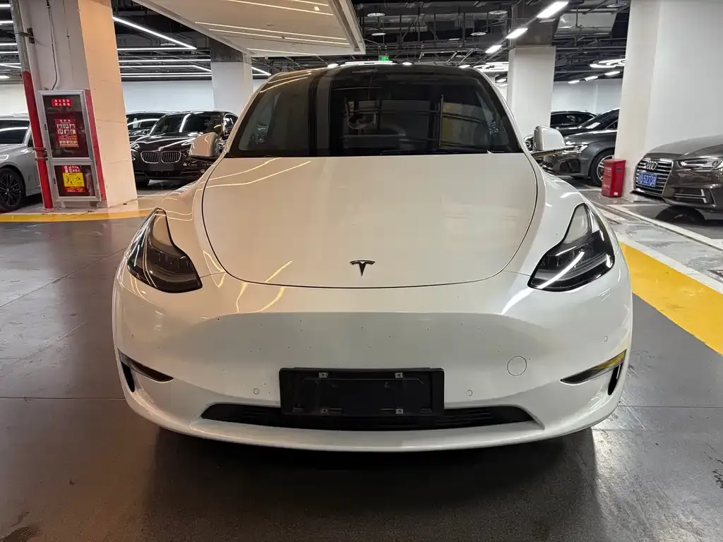 Tesla Model Y 2021 из CN, фото 5