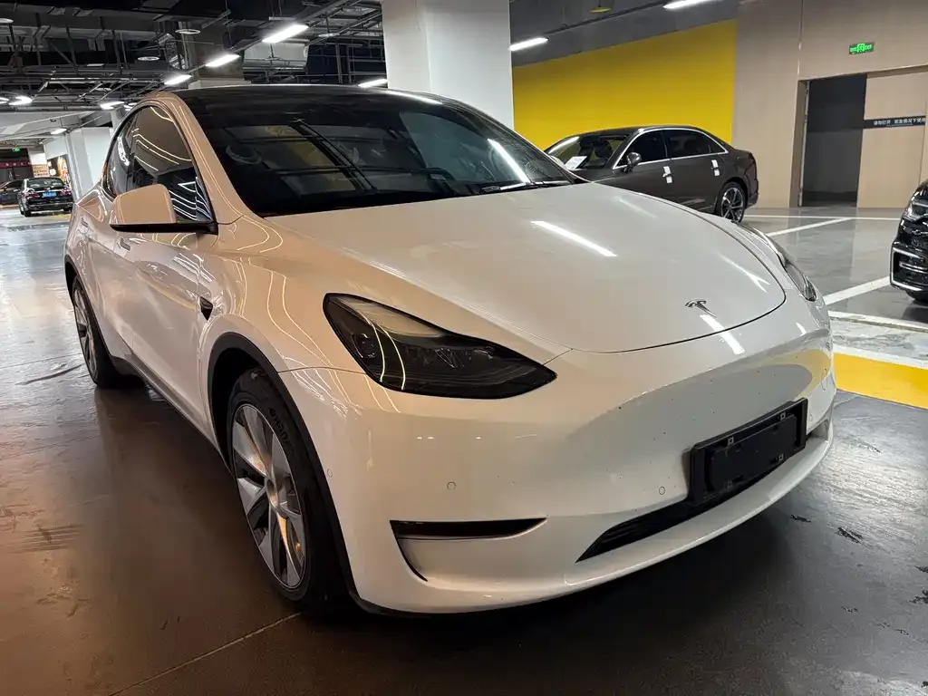 Tesla Model Y 2021 из CN, фото 8