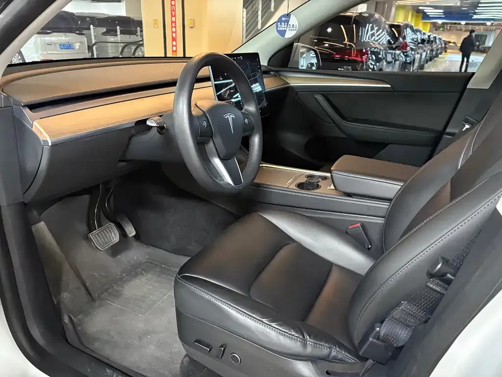 Tesla Model Y 2021 из CN, фото 4