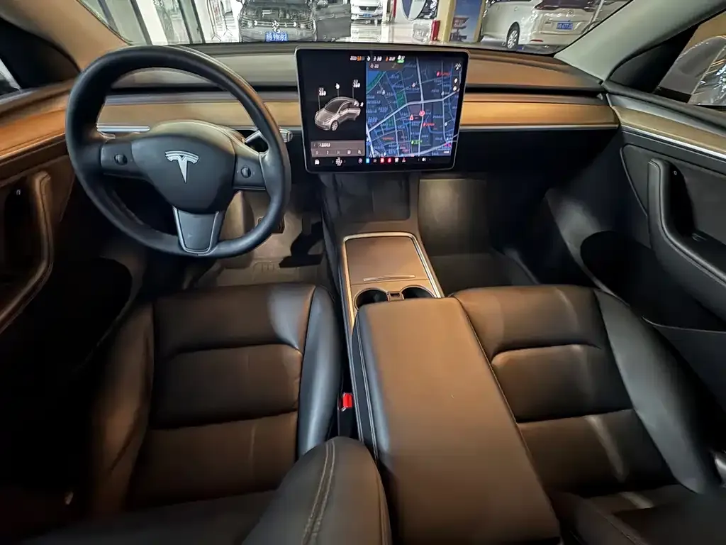 Tesla Model Y 2021 из CN, фото 6