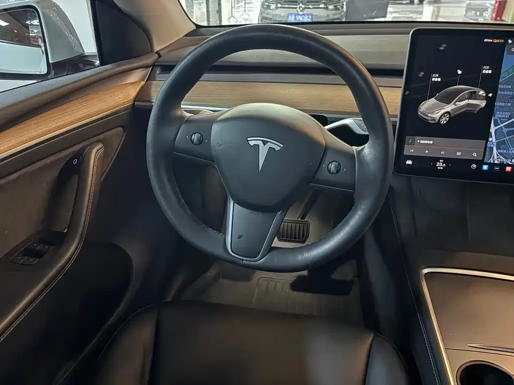 Tesla Model Y 2021 из CN, фото 9