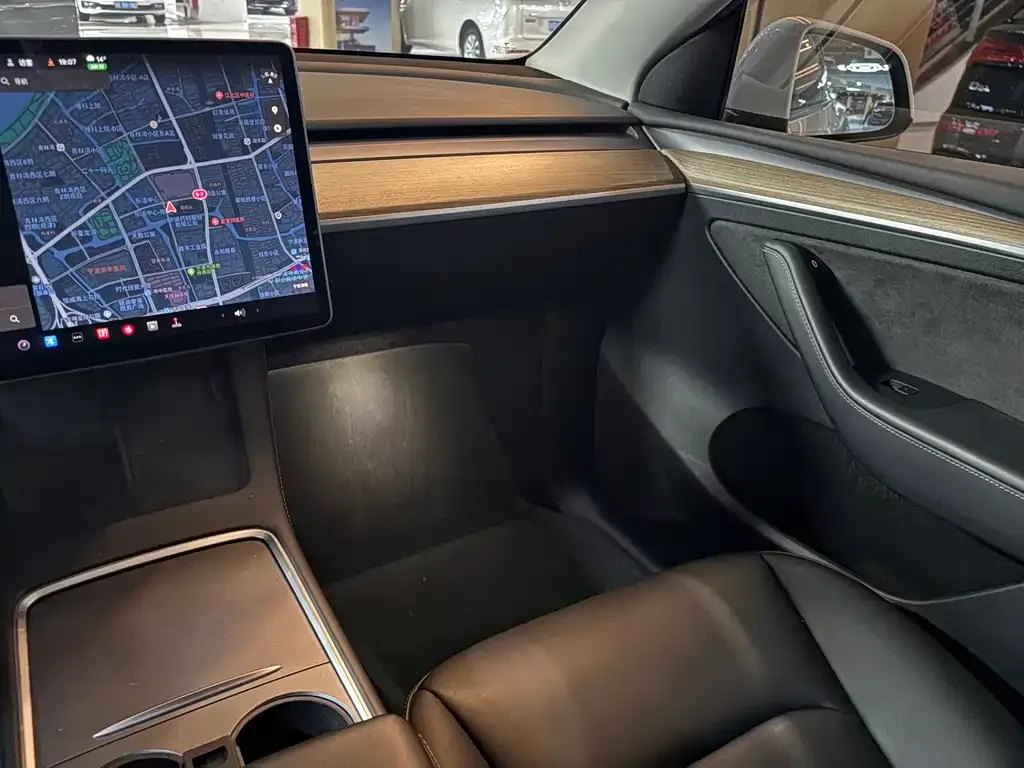 Tesla Model Y 2021 из CN, фото 10