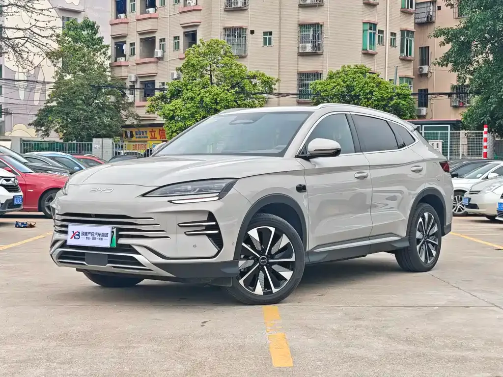BYD PLUS New Energy — фото 1