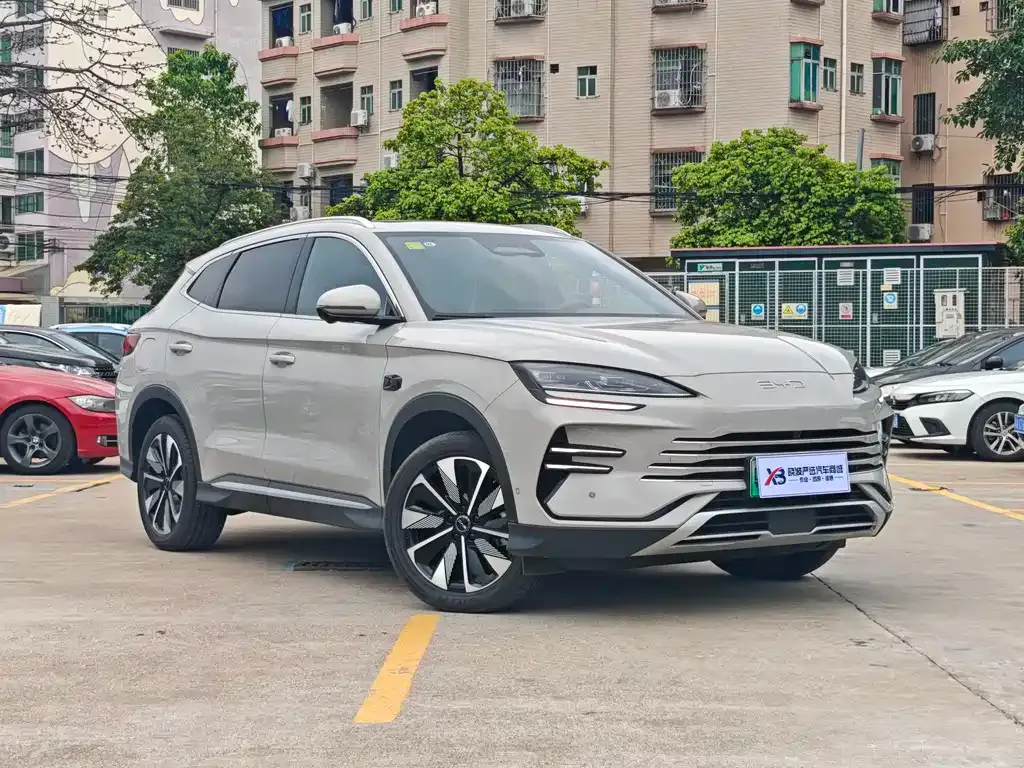 BYD PLUS New Energy — фото 4