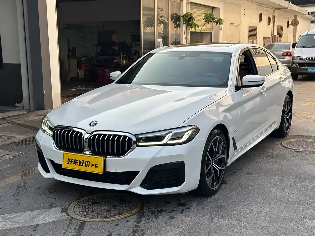 BMW 5 Series (Import) — фото 6