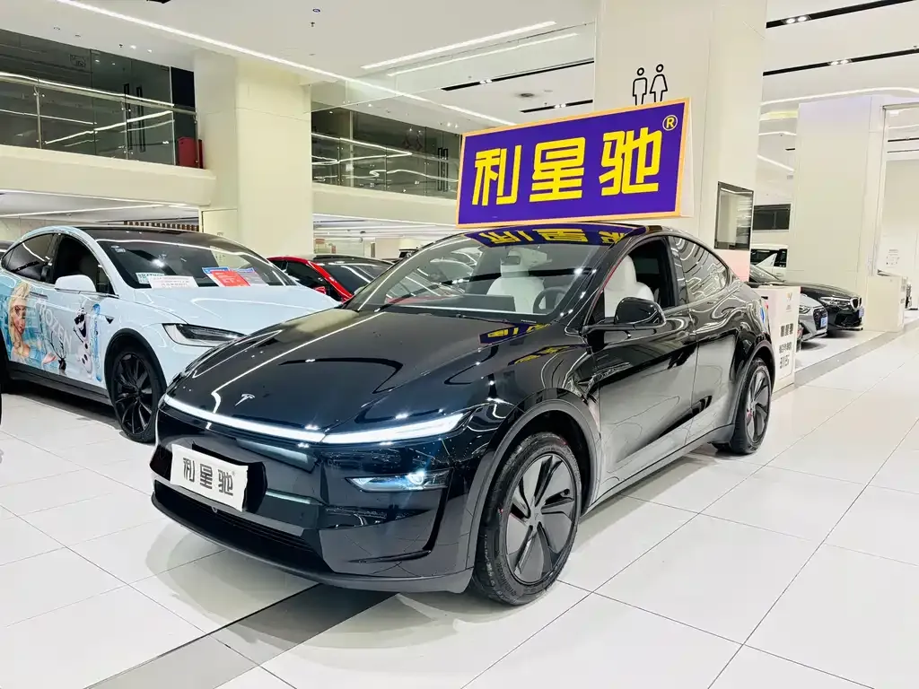 Tesla Model Y 2026 из CN, фото 9