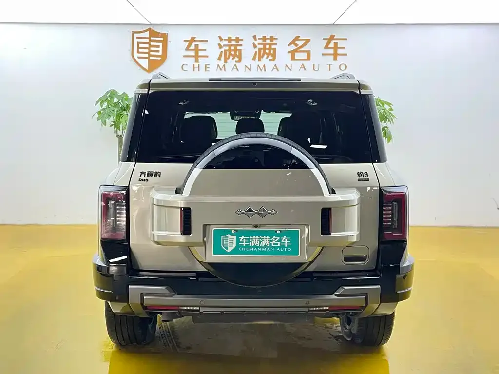 Fang Cheng Bao Leopard 8 2024 из CN, фото 4