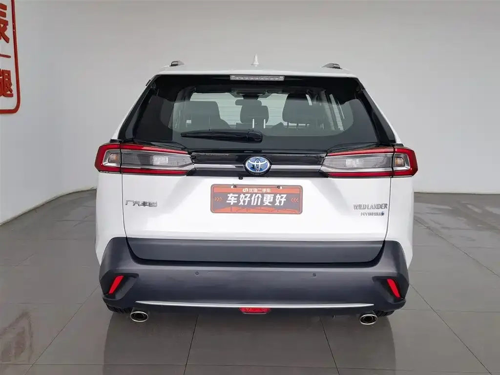 Toyota Wildlander 2023 из CN, фото 6