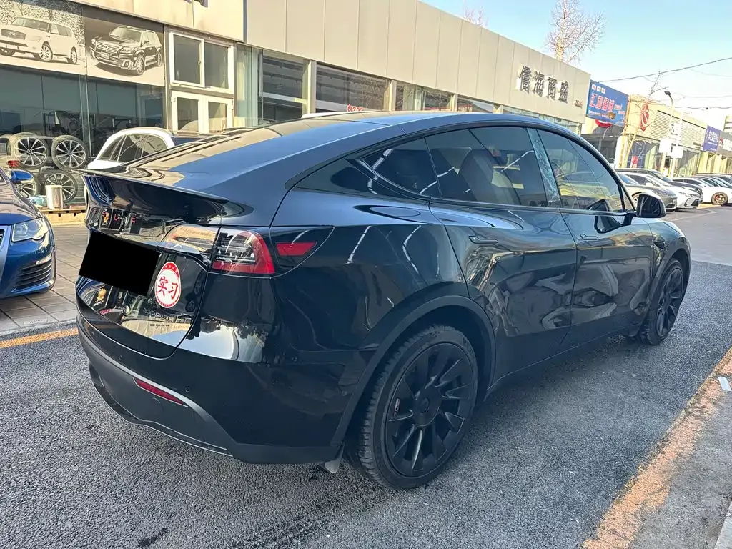 Tesla Model Y 2024 из CN, фото 9