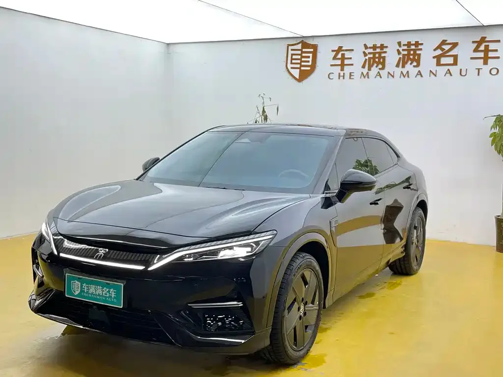 BYD L EV