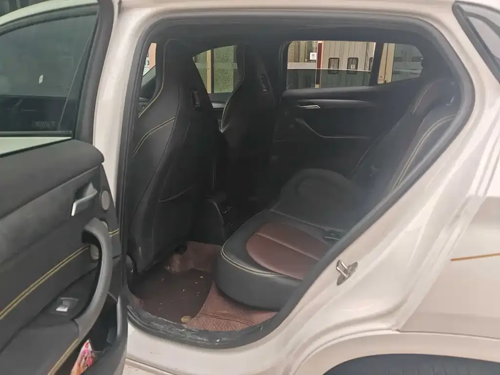 BMW X2 2024 из CN, фото 6