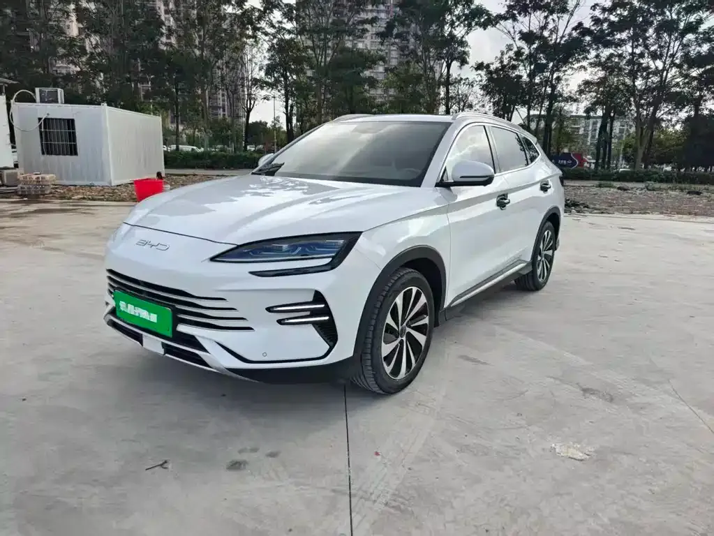 BYD PLUS New Energy 2024 из CN, фото 1