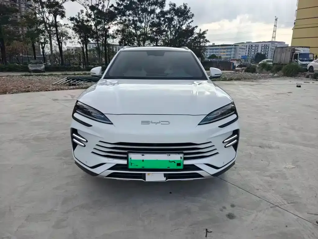 BYD PLUS New Energy 2024 из CN, фото 2