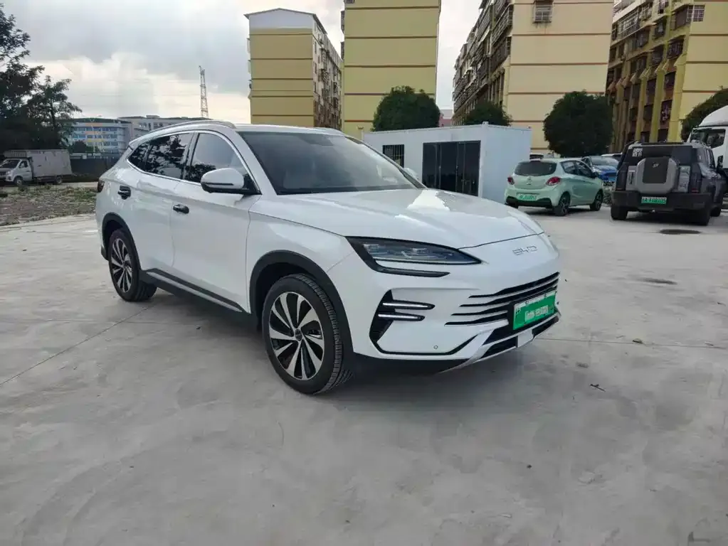 BYD PLUS New Energy 2024 из CN, фото 4