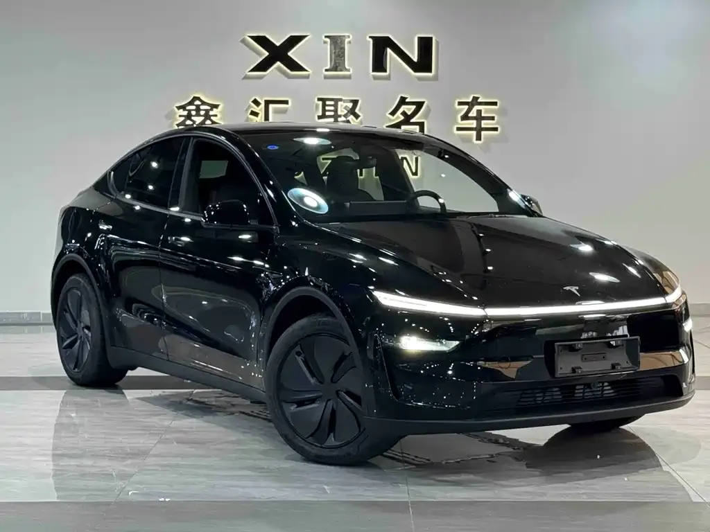 Tesla Model Y — фото 10