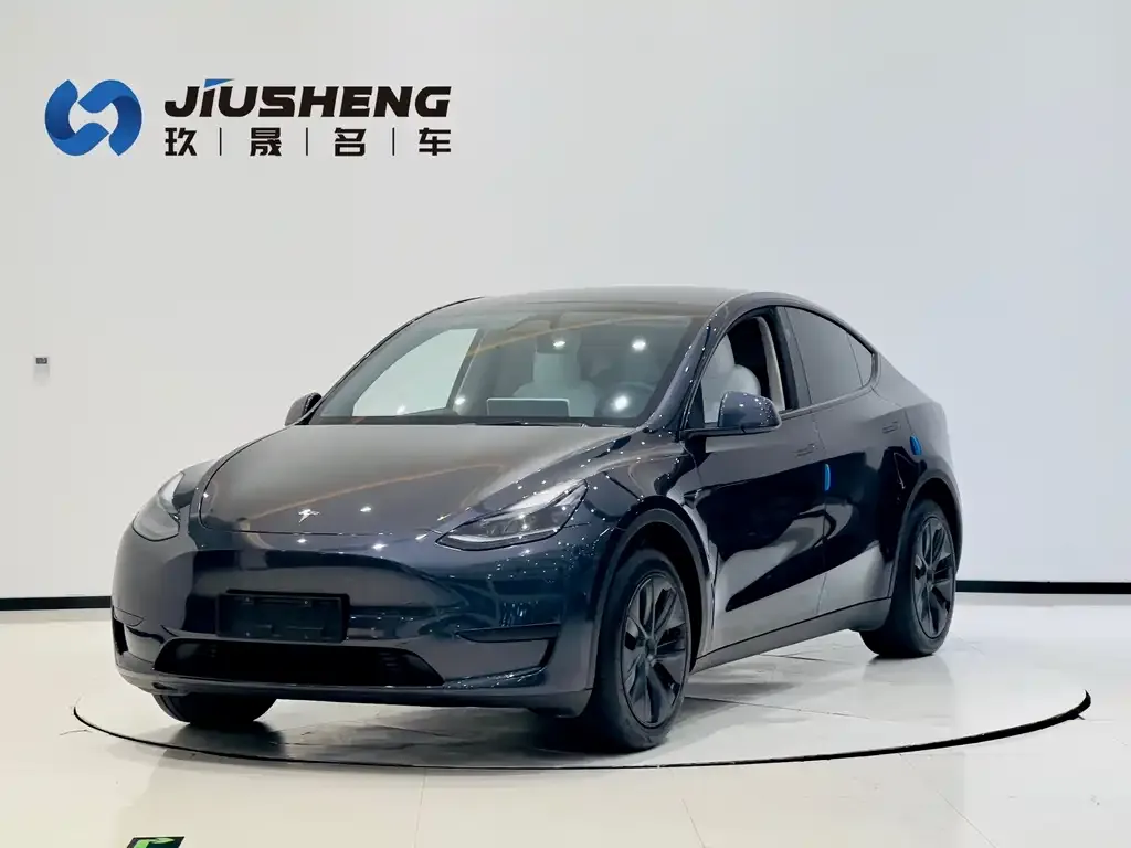 Tesla Model Y 2024 из CN, фото 1