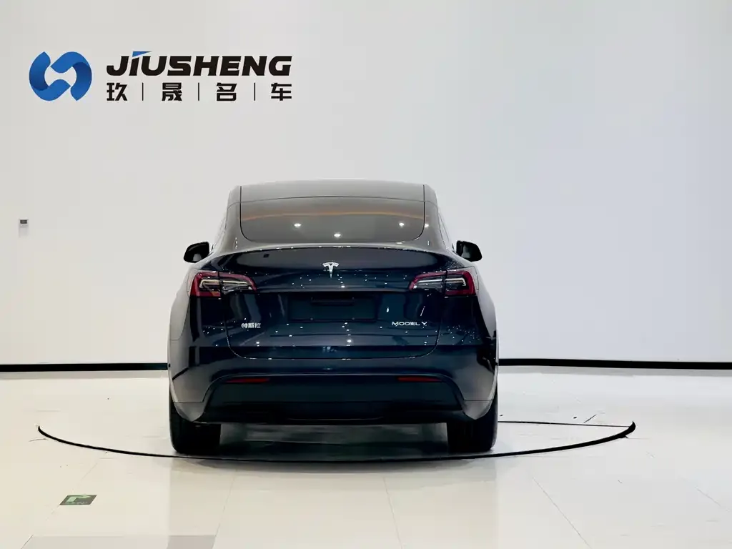 Tesla Model Y 2024 из CN, фото 9
